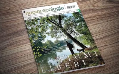 “Fiumi liberi” sulla Nuova Ecologia di maggio