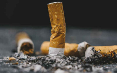 Indagine park litter 2022: mozziconi di sigaretta al top tra i rifiuti abbandonati nei parchi urbani