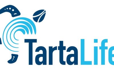 Ridurre la pesca accidentale delle tartarughe marine: azioni concrete tramite il progetto TartaLife, tra i partner anche Legambiente