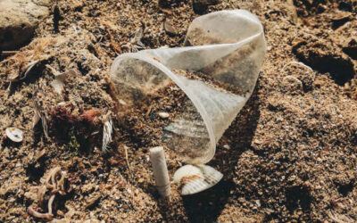 I dati dell’indagine Beach Litter 2023 e gli appuntamenti di Spiagge e fondali puliti