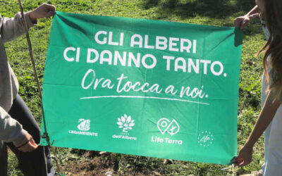 Festa dell’Albero 2023, 5mila alberi nelle città italiane contro la crisi climatica